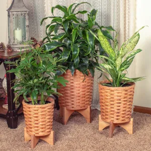 3-Piece Basket Planter Set | Round Woven Wicker Plant Baskets