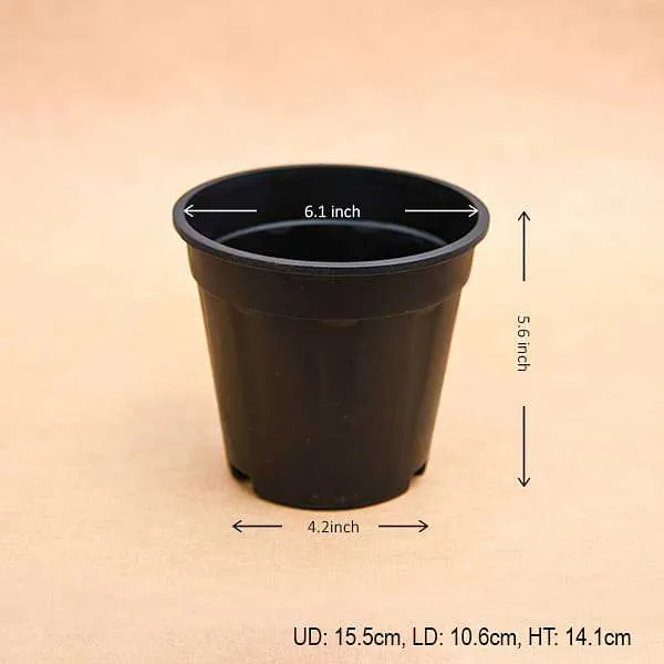 6 inch (15 cm) Grower Round Plastic Pot (Black) (set of 6)