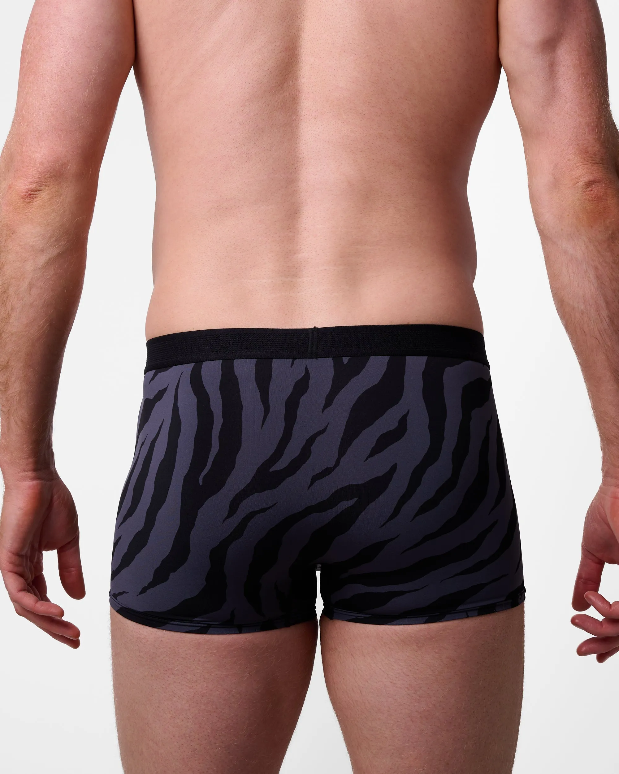 Animal Print Trunk