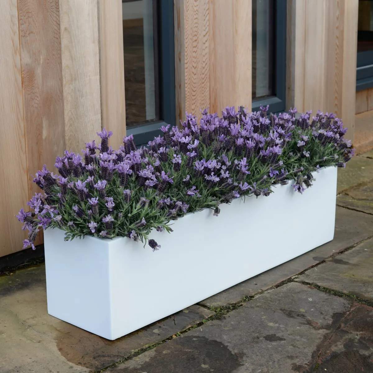 Bespoke Fibreglass Geo Planter