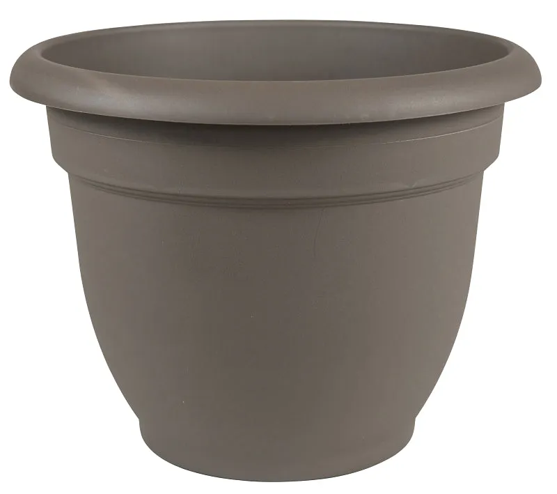 Bloem AP0660 Planter, 6 in Dia, 5.1 in H, 6-1/2 in W, Round, Plastic, Peppercorn :EA: QUANTITY: 10