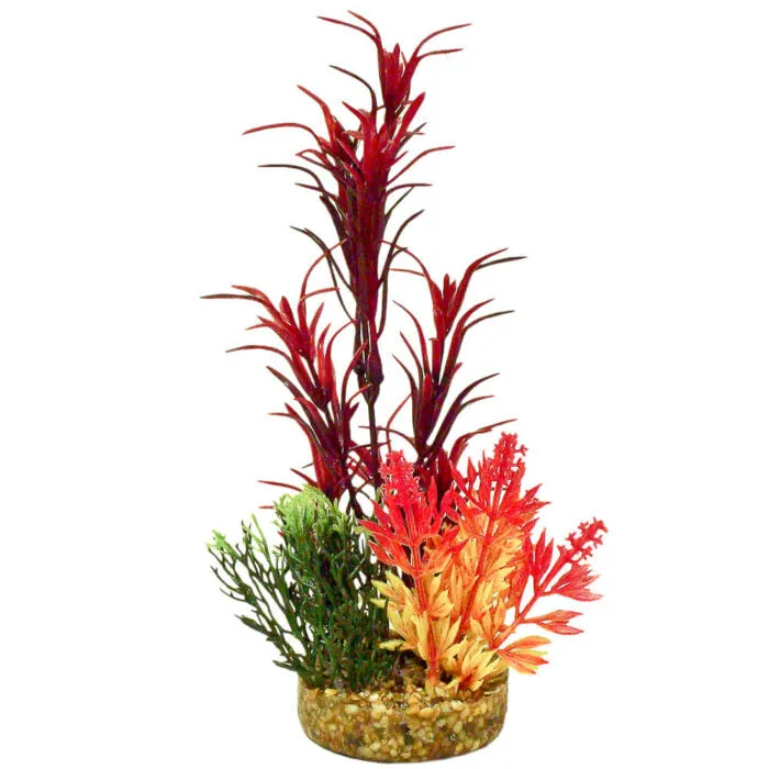 Blue Ribbon Colorburst Florals Seagrass Bouquet Plant Red