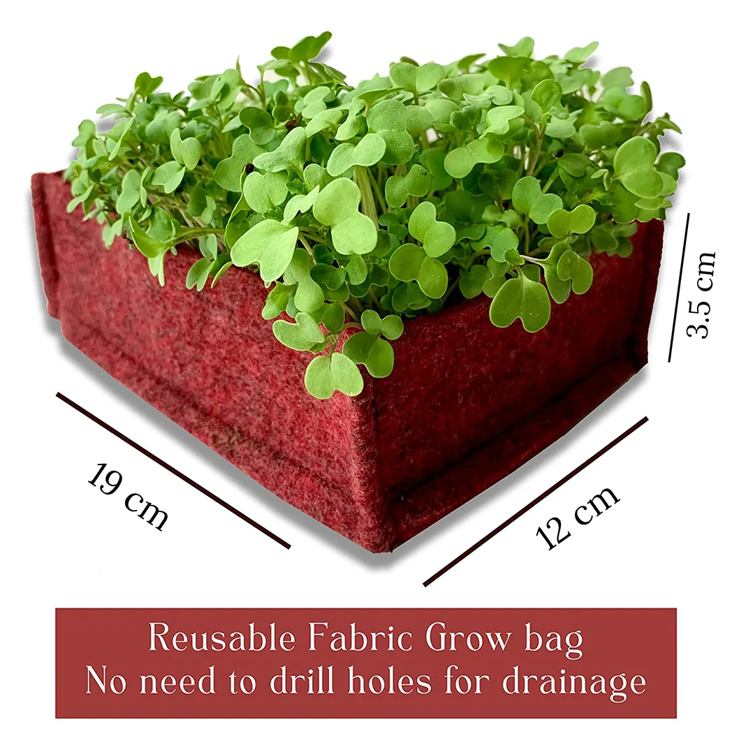 Bombay Greens DIY Microgreens Eco-Friendly Kit - Radish