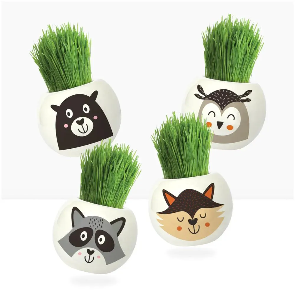 Boutique Garden Wild Adventure Grass Hair Kits, Assorted