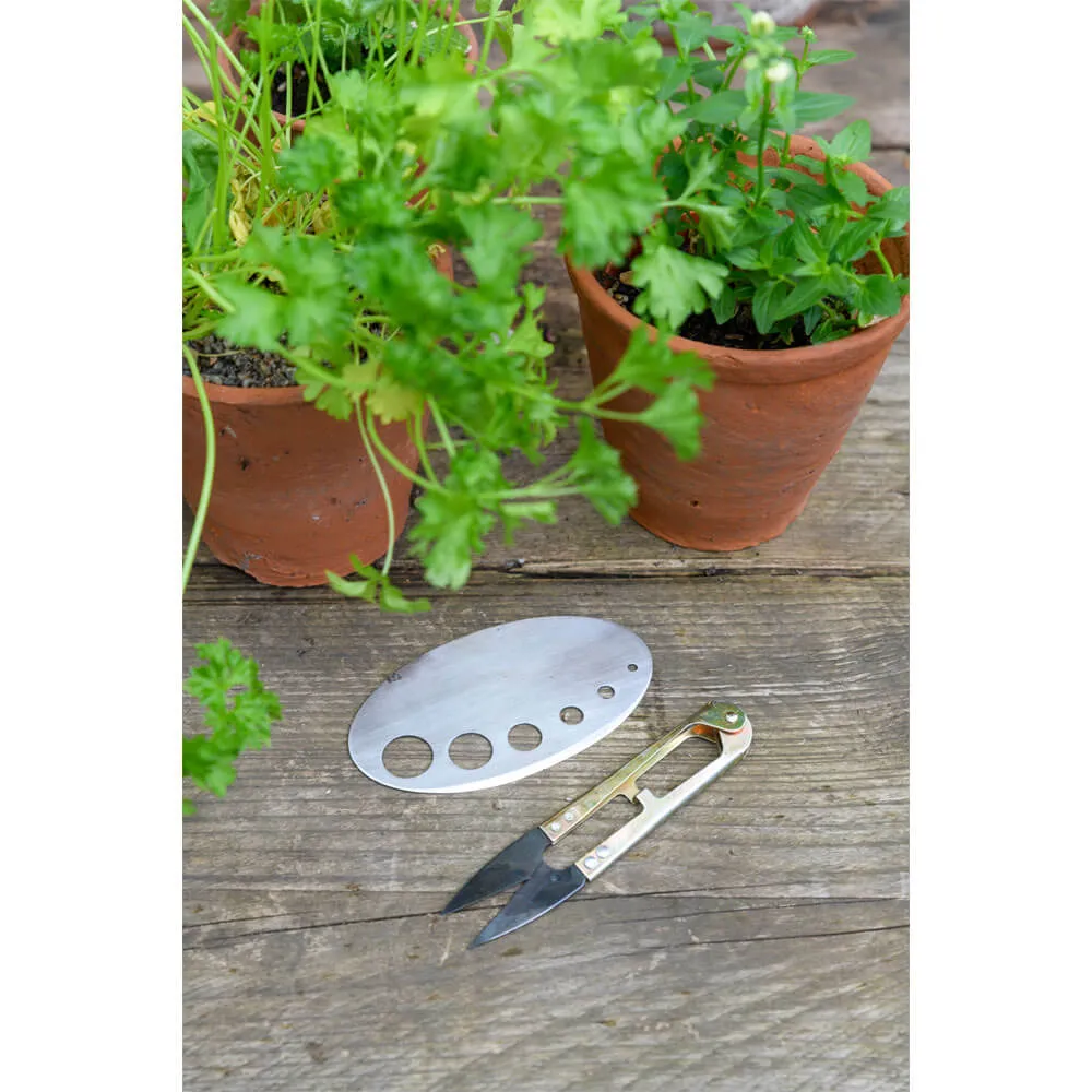 Burgon & Ball Sophie Conran 'All About Herbs' Gift Set - Limited Edition