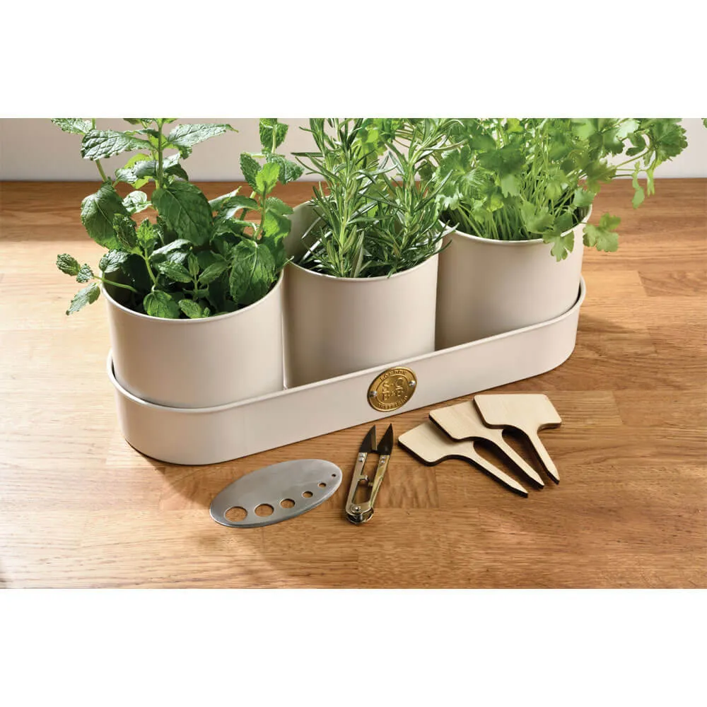 Burgon & Ball Sophie Conran 'All About Herbs' Gift Set - Limited Edition