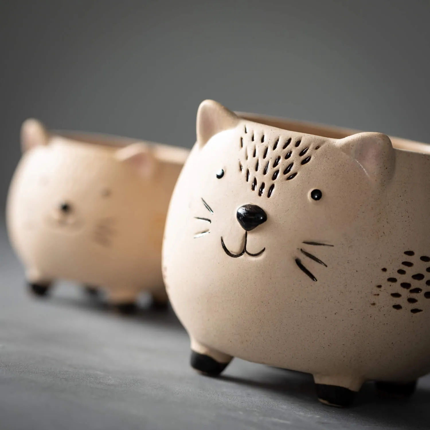 Cat Planters, 2 sizes