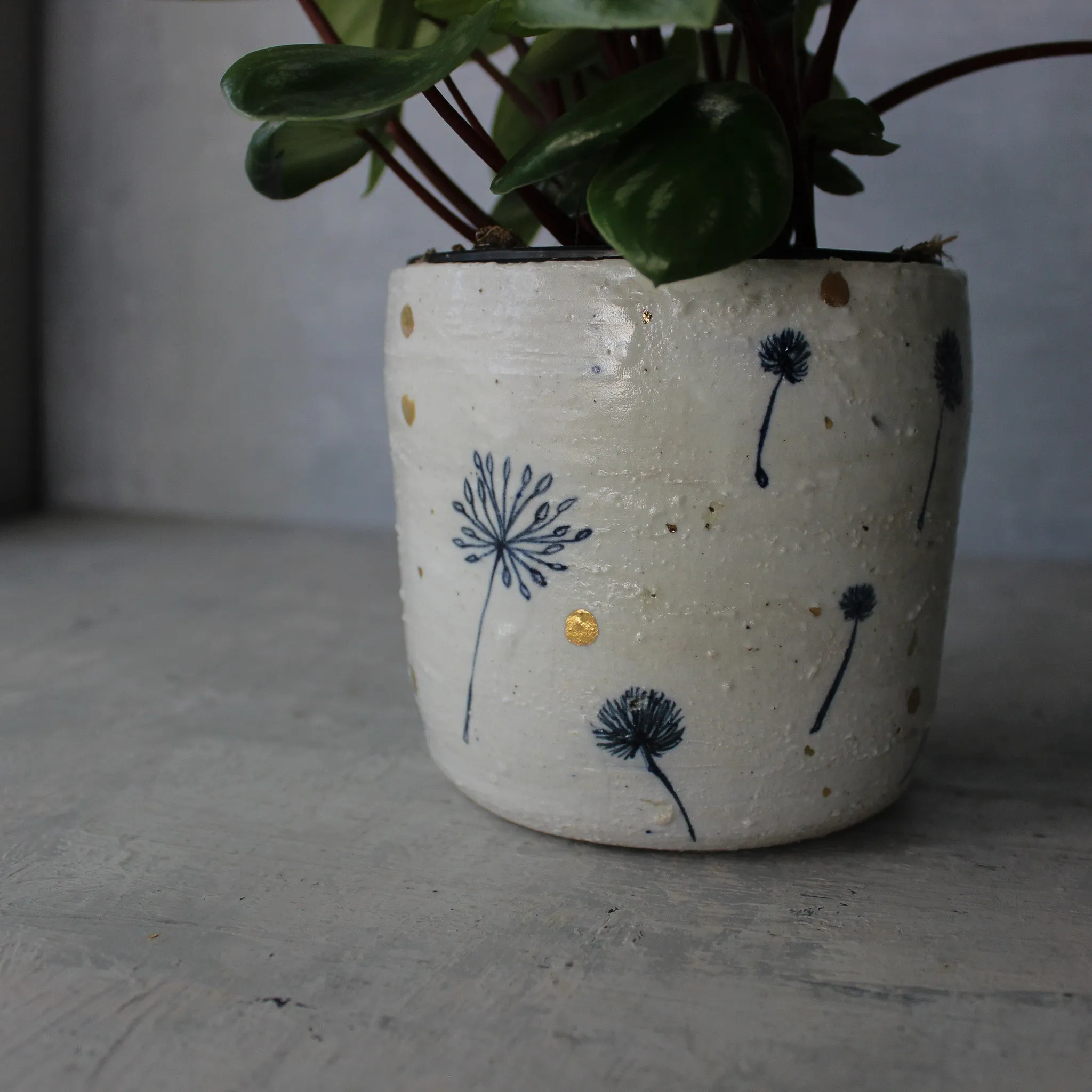 Ceramic Planters Dandelion