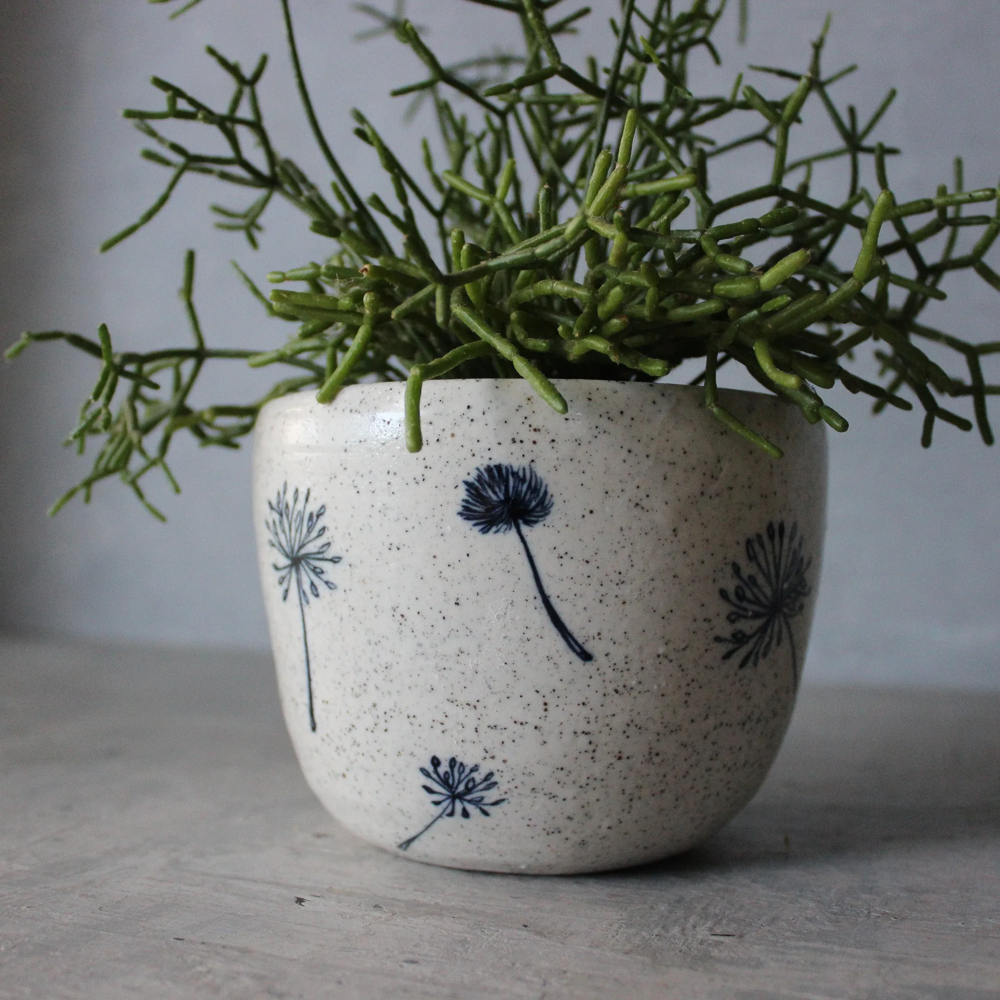 Ceramic Planters Dandelion