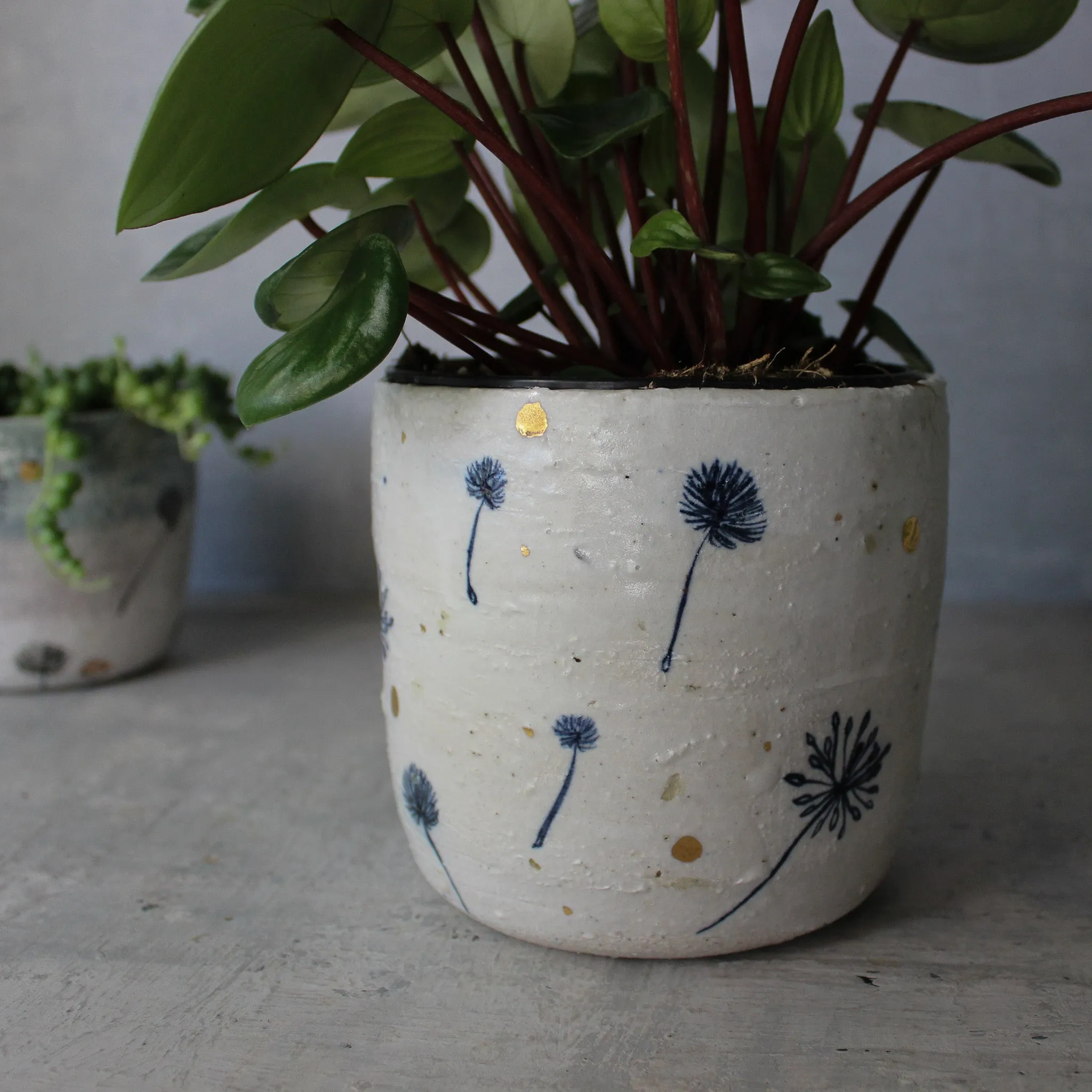 Ceramic Planters Dandelion