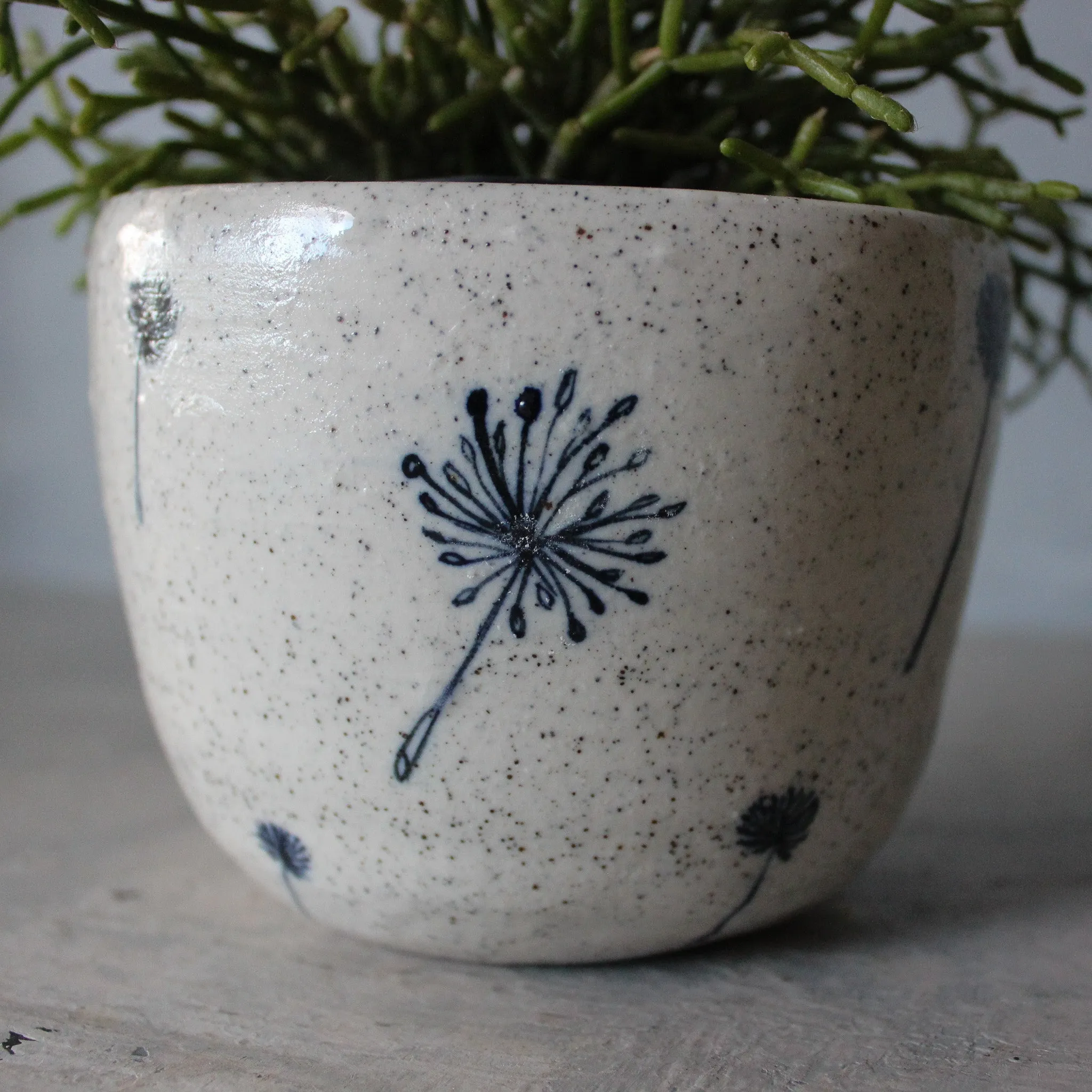 Ceramic Planters Dandelion