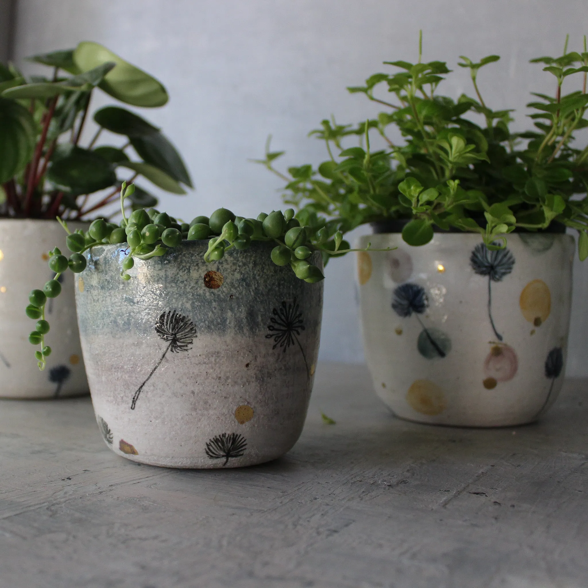 Ceramic Planters Dandelion