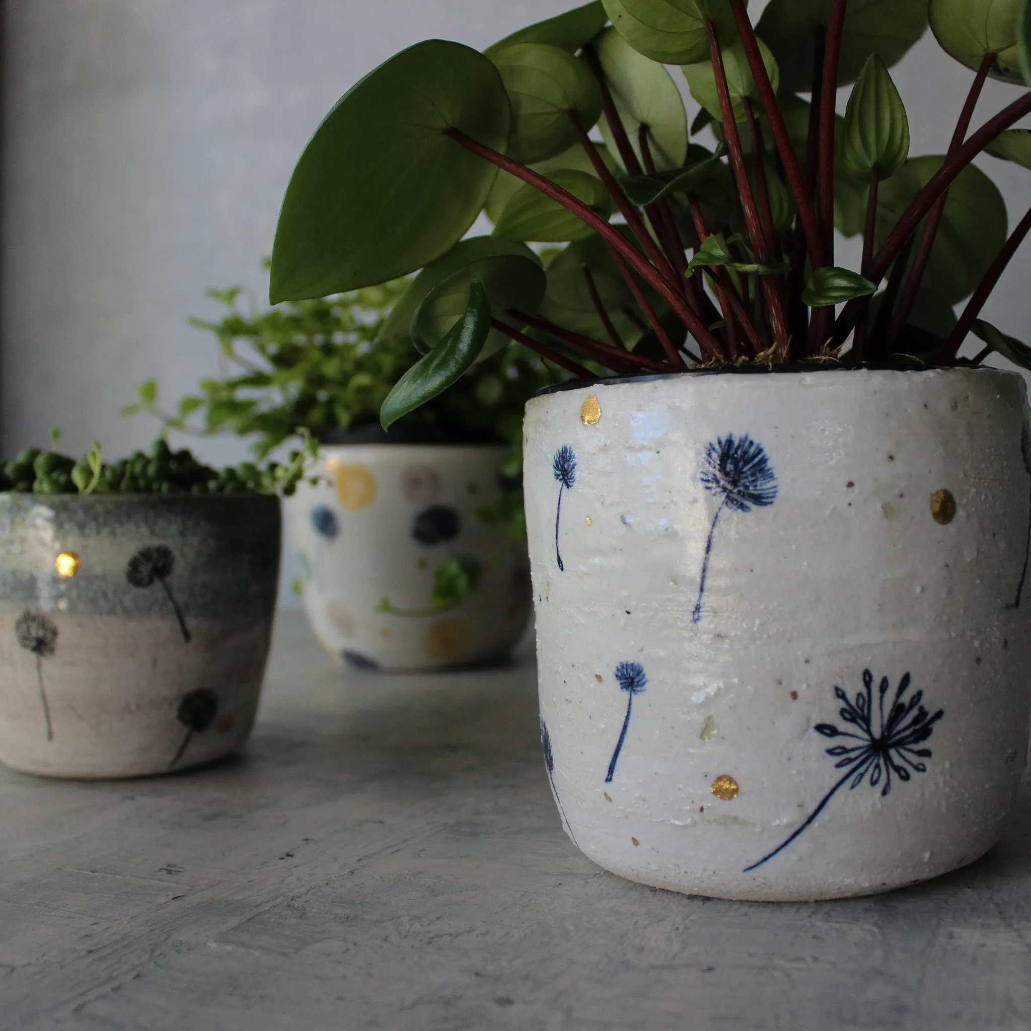 Ceramic Planters Dandelion