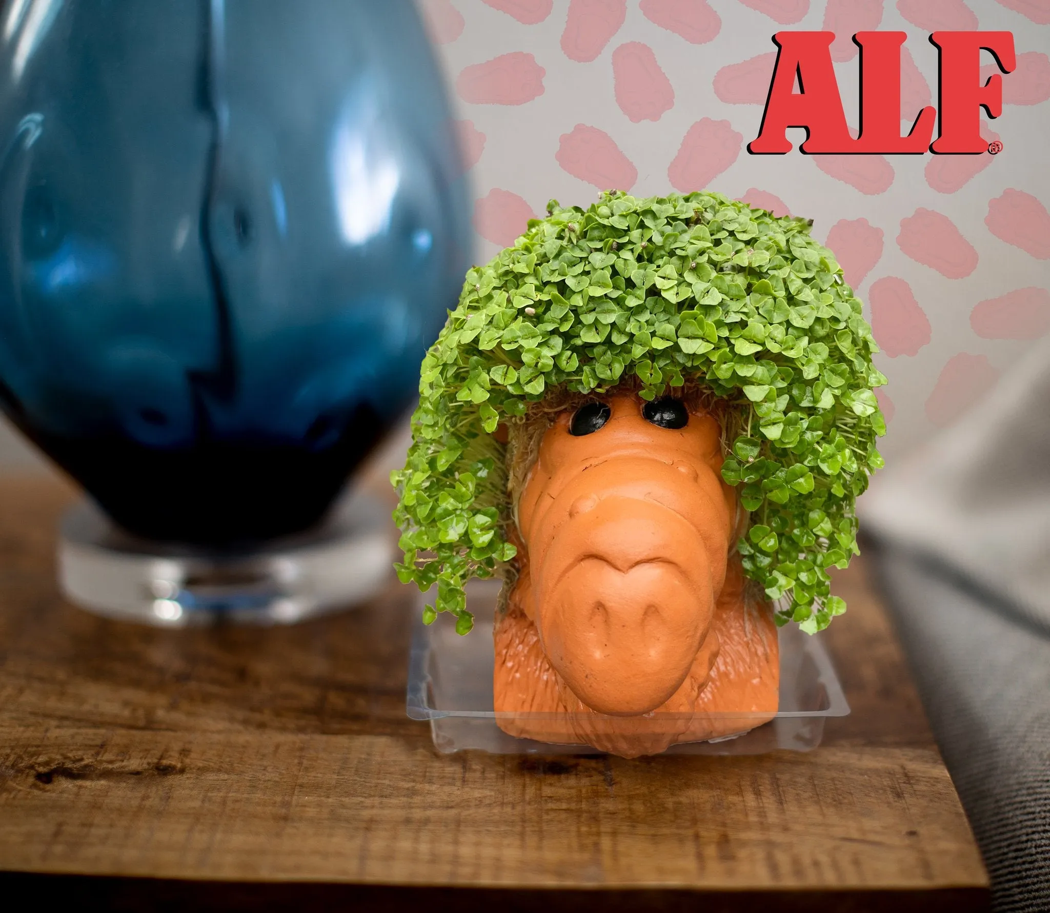 Chia Pet Planter - Alf