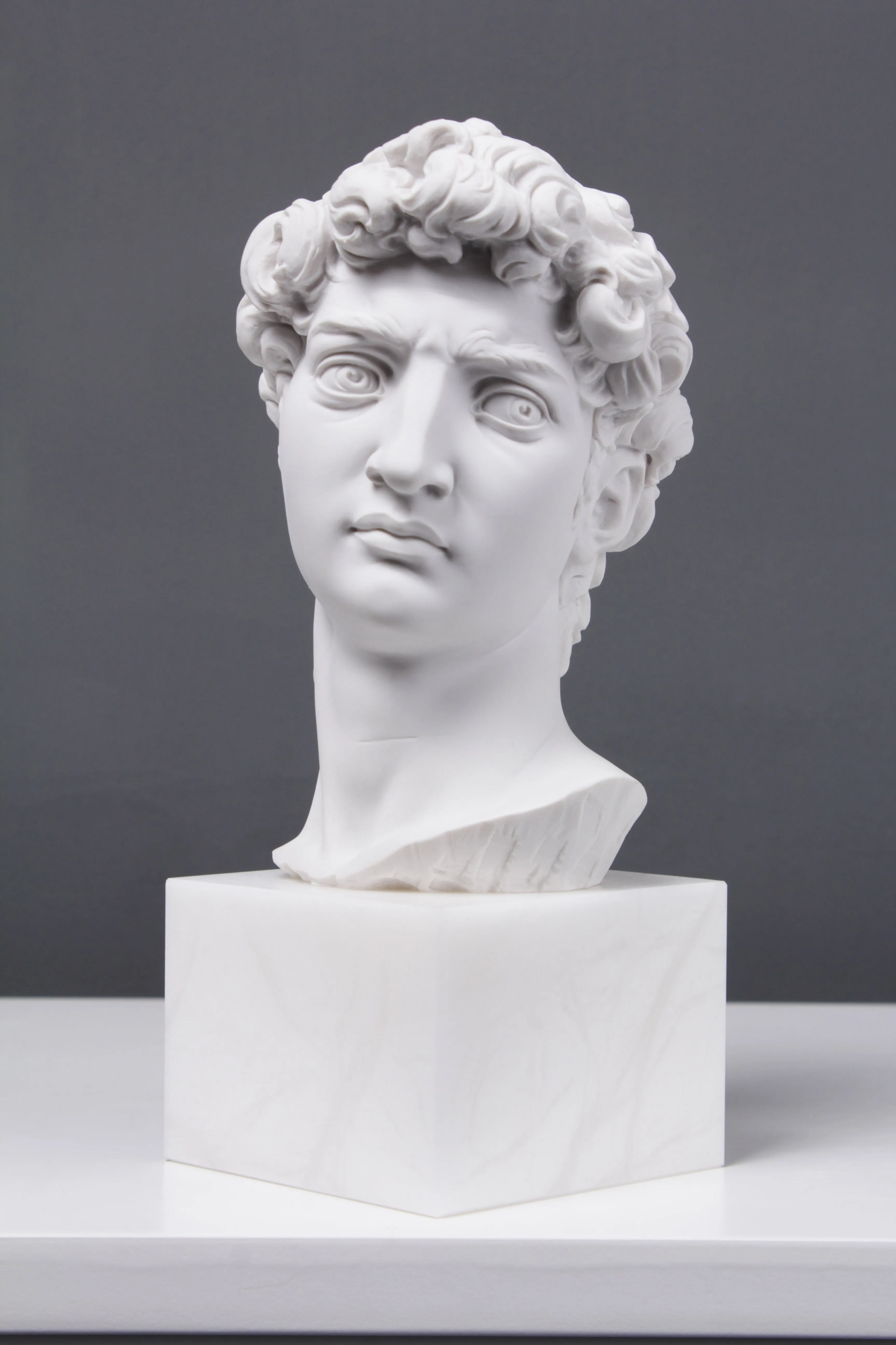 David Bust (By Michelangelo)