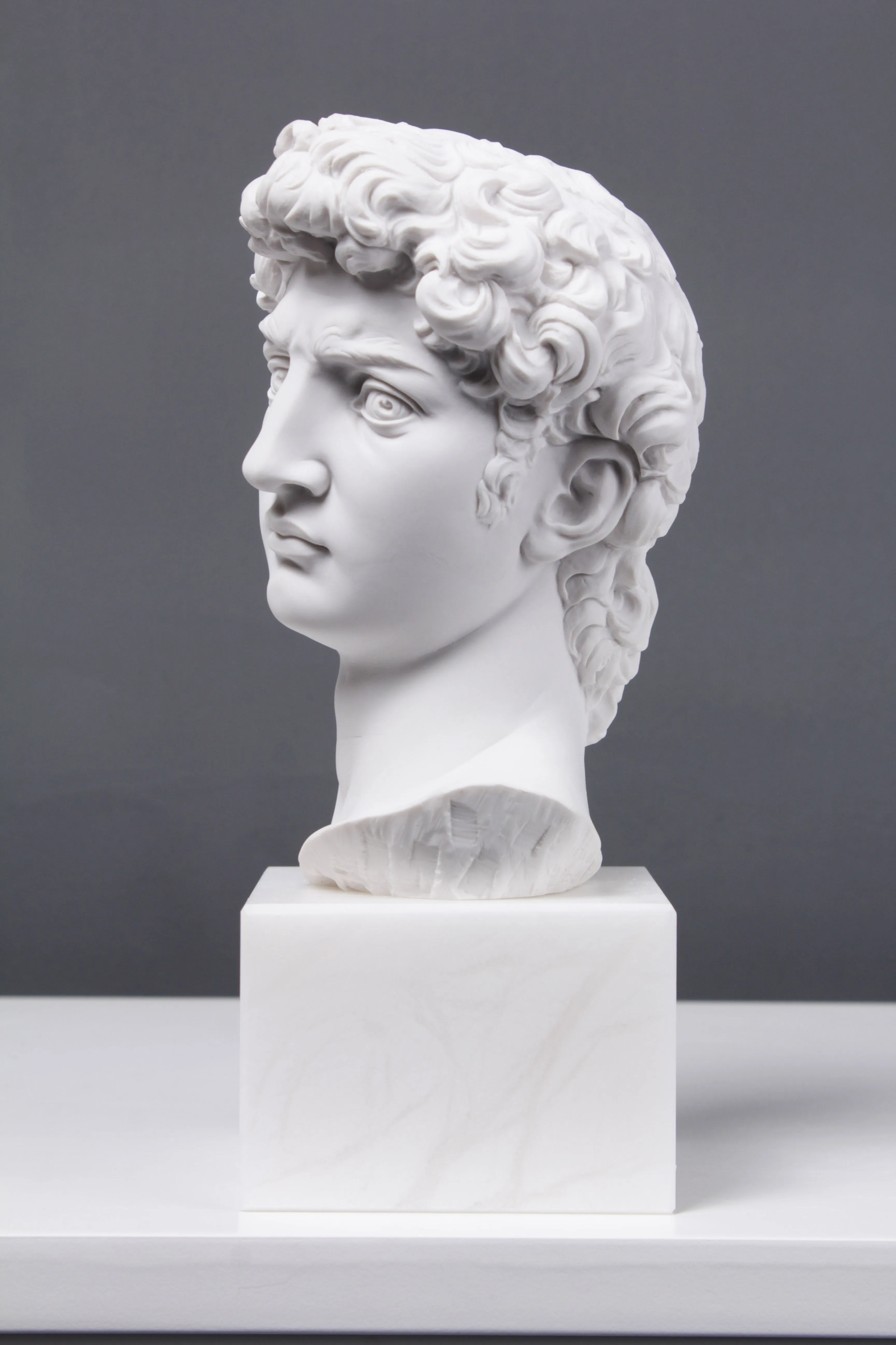 David Bust (By Michelangelo)