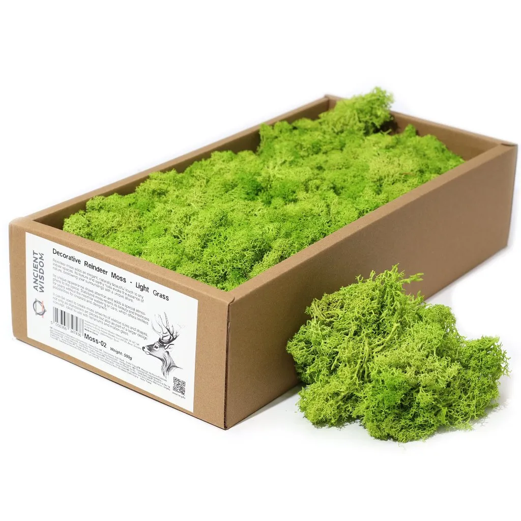 Decorative Moss - Natural Colours - Reindeer Moss