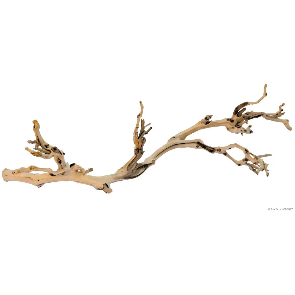 Exo Terra Forest Branch - Sandblasted Grapevine - Large 60cm