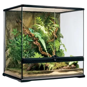 Exo Terra Glass Terrarium Medium Tall - 60x45x60cm