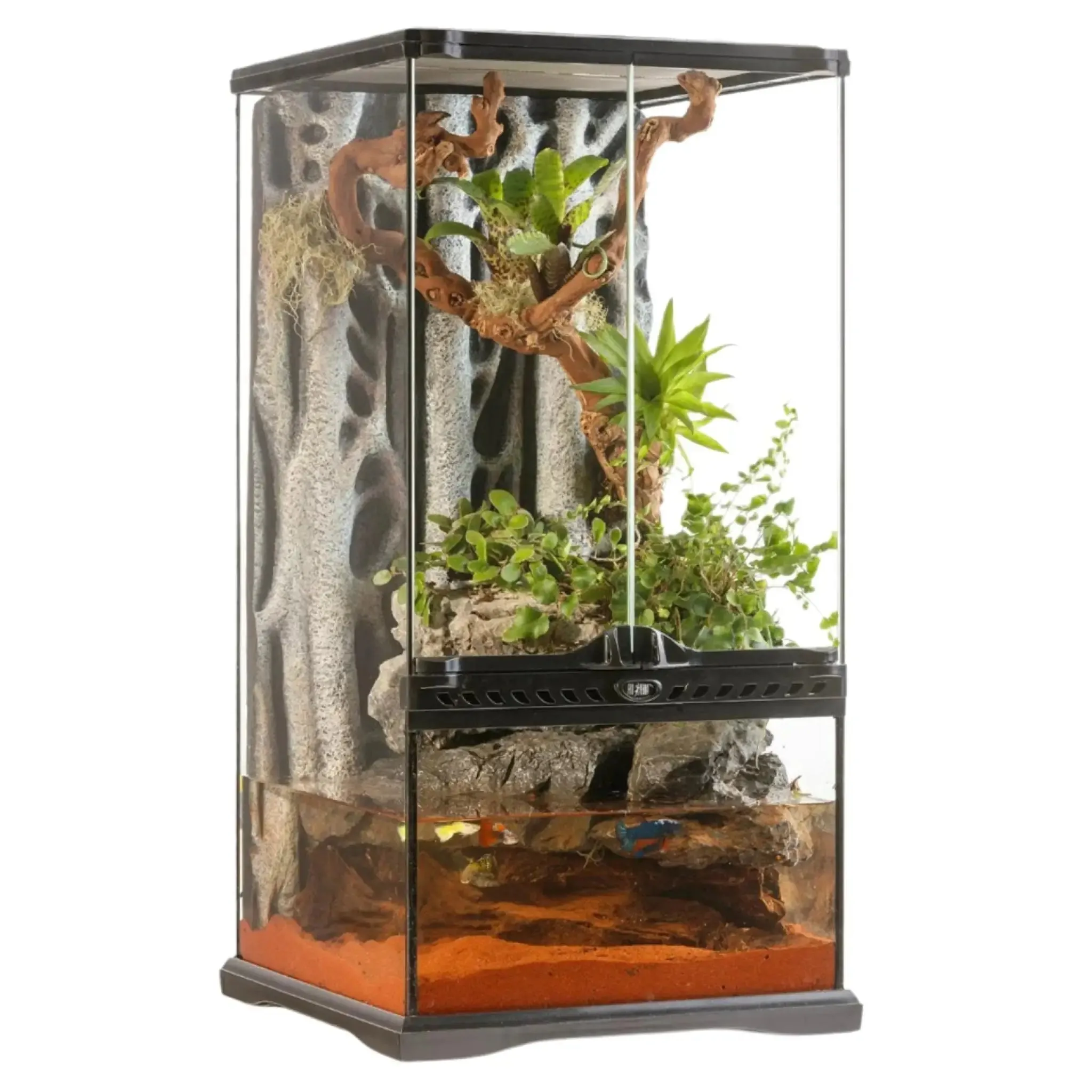 Exo Terra Glass Terrarium Mini X-Tall - 30x30x60cm