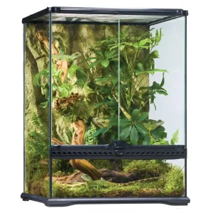 Exo Terra Glass Terrarium Small Tall - 45x45x60cm