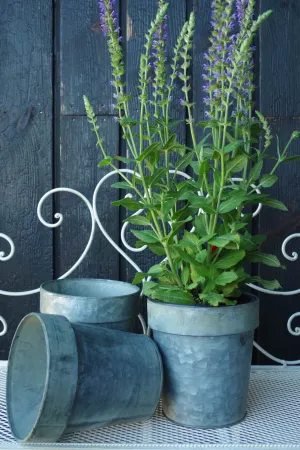 Galvanised Flower Pot Medium - Set of 3