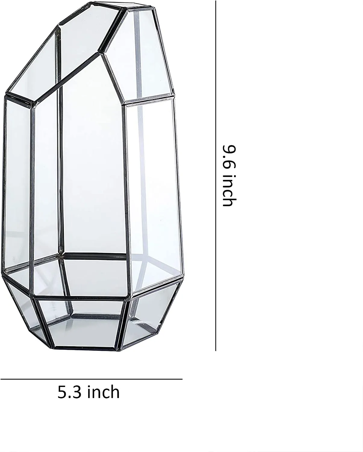 Glass Geometric Terrarium Container 5.3X9.6 inch and 4.8X7.7 inch Tabletop