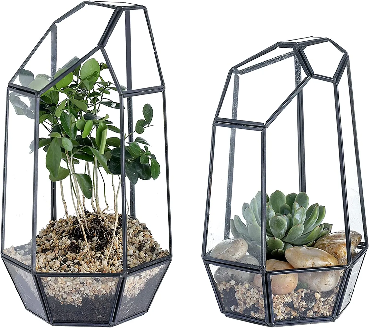 Glass Geometric Terrarium Container 5.3X9.6 inch and 4.8X7.7 inch Tabletop