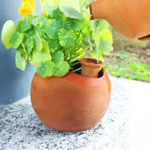 GLO (XL)Terracotta Planter with Deep Root Watering System- Set of 2