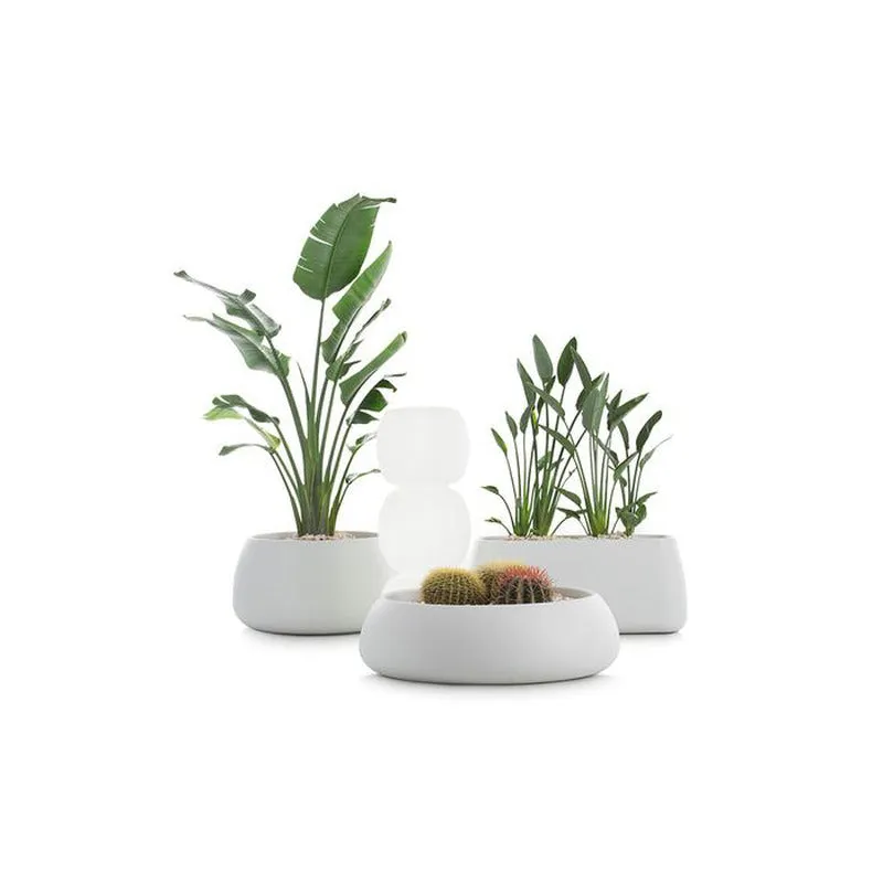 Gobi Planter 5