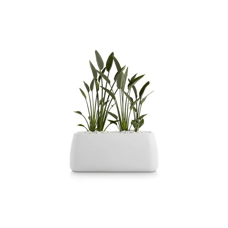 Gobi Planter 5