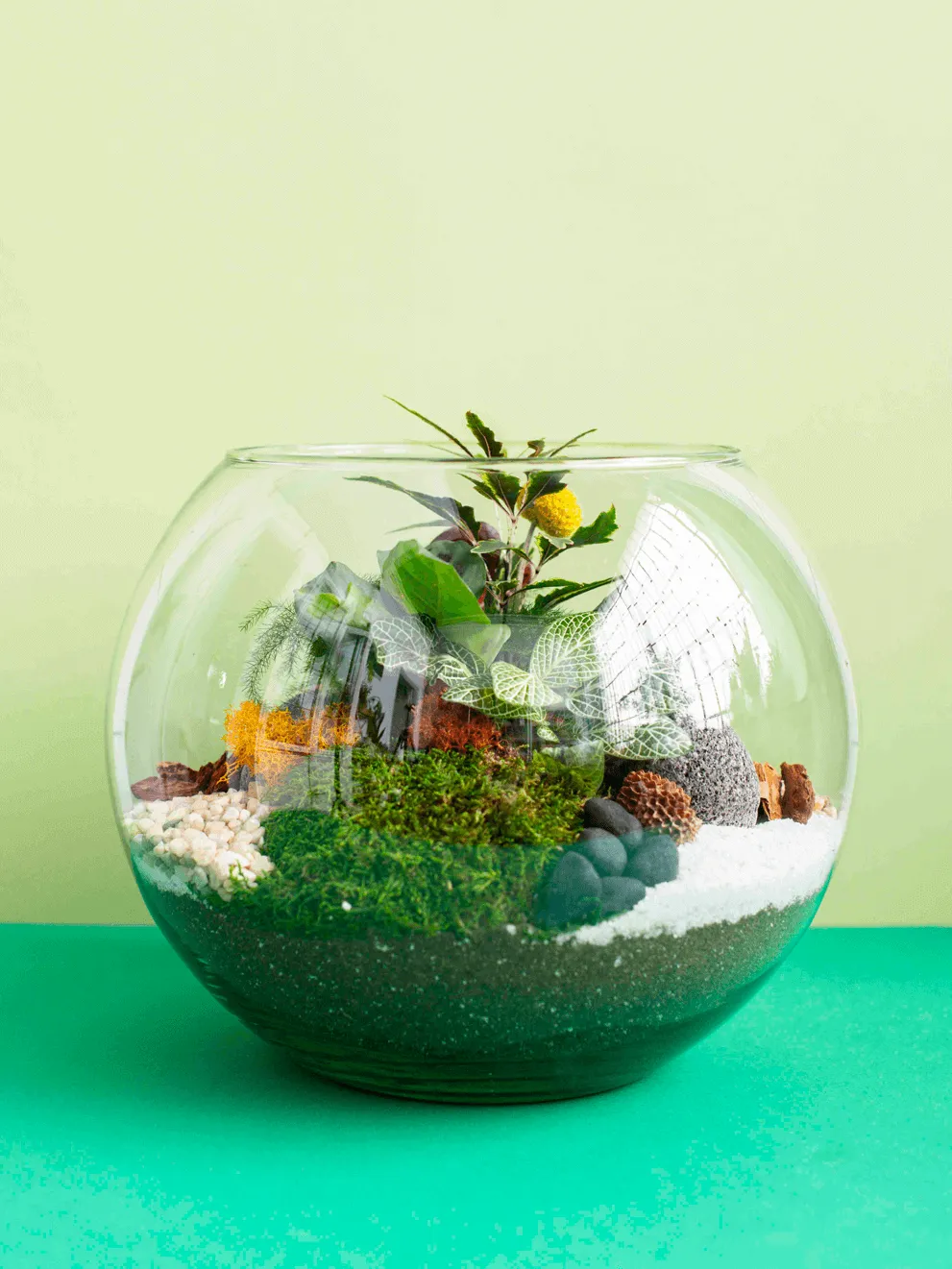 Large Globe Terrarium