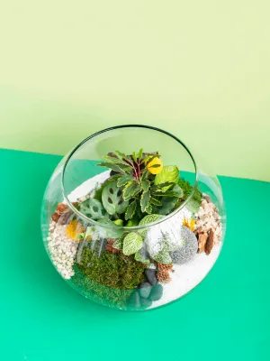 Large Globe Terrarium