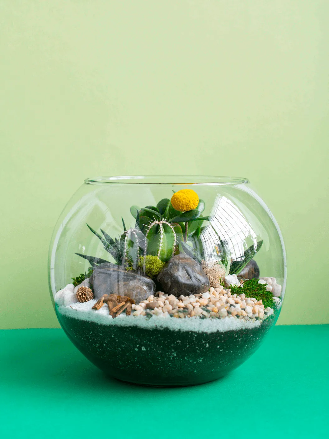 Large Globe Terrarium