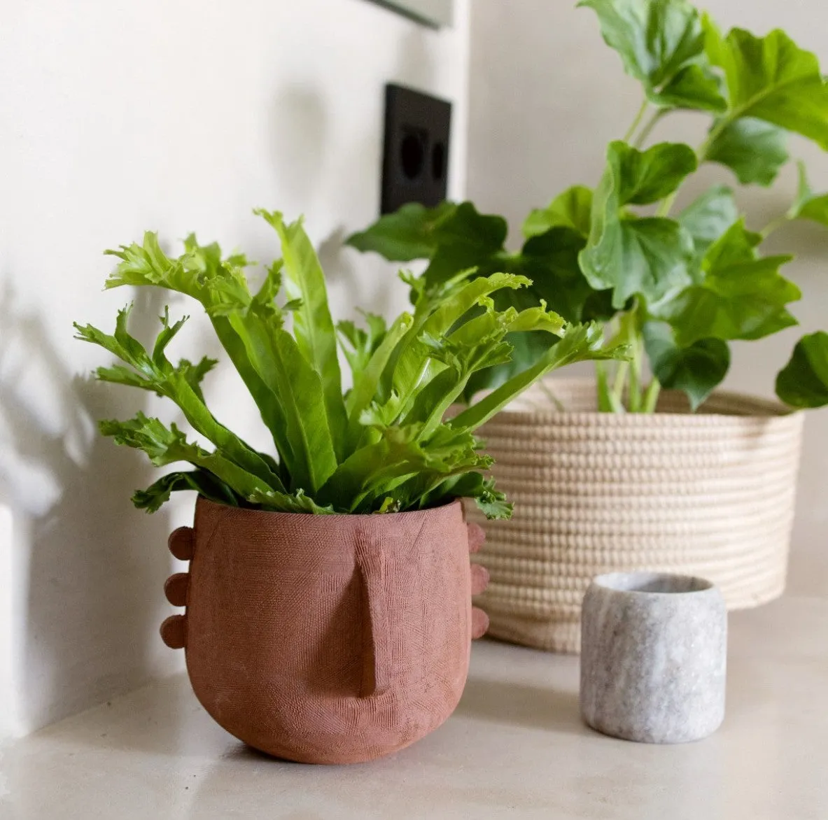 Meso Face Planter