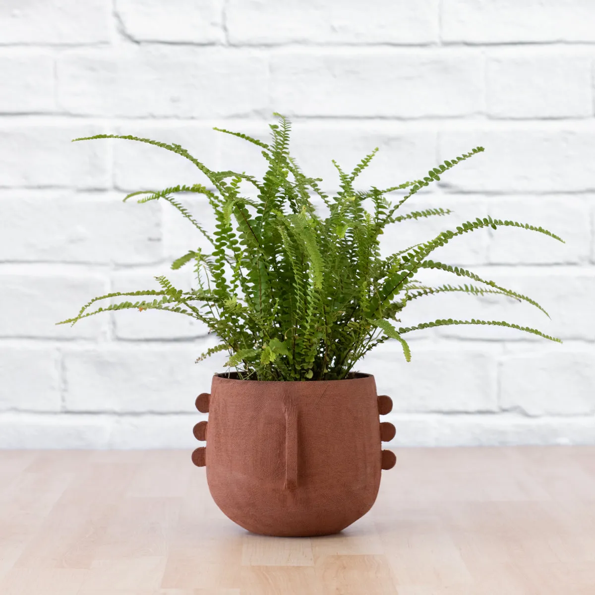 Meso Face Planter