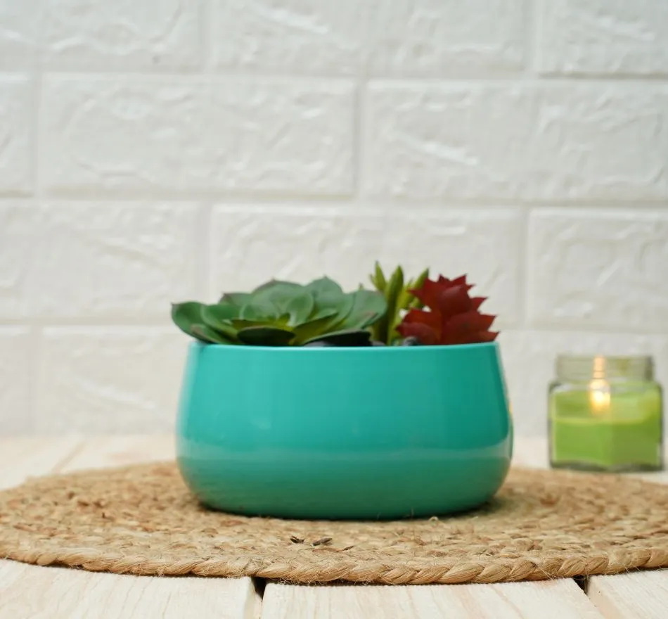 Metal Planters For Living Room | Cyan