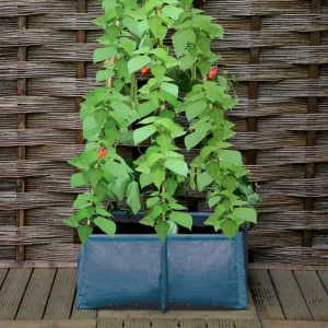 Pea & Bean Patio Planter