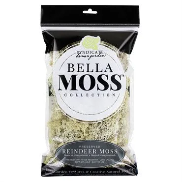 Reindeer Moss Natural - 80 Cubic Inches