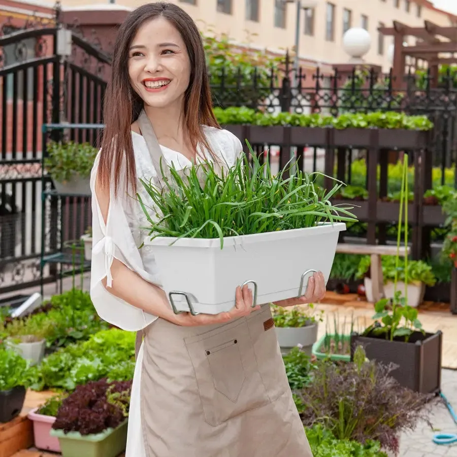 Set of 5 x 49.5cm White Rectangular Planter