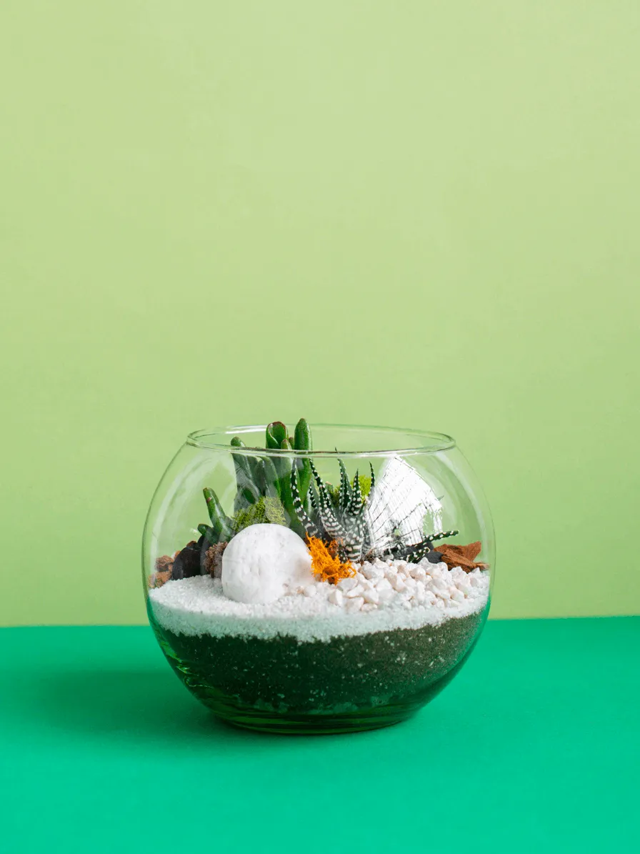 Small Globe Terrarium