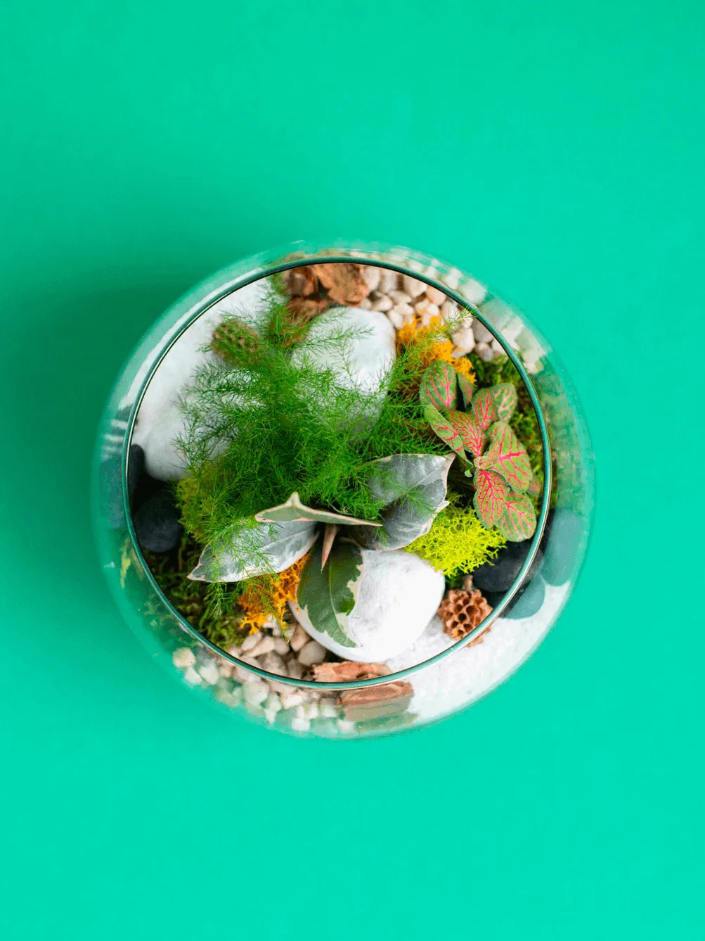 Small Globe Terrarium