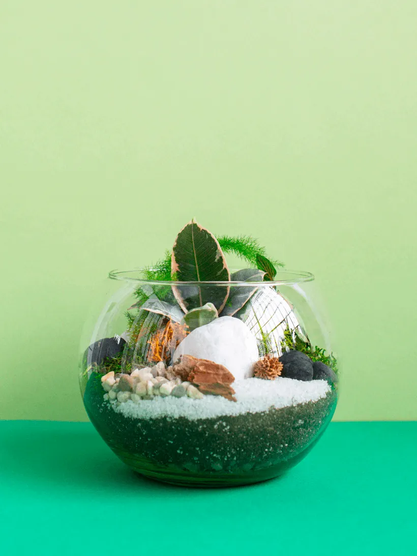 Small Globe Terrarium