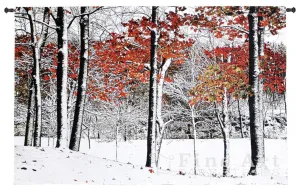 Snowfall Wall Tapestry by Burney Lieberman©