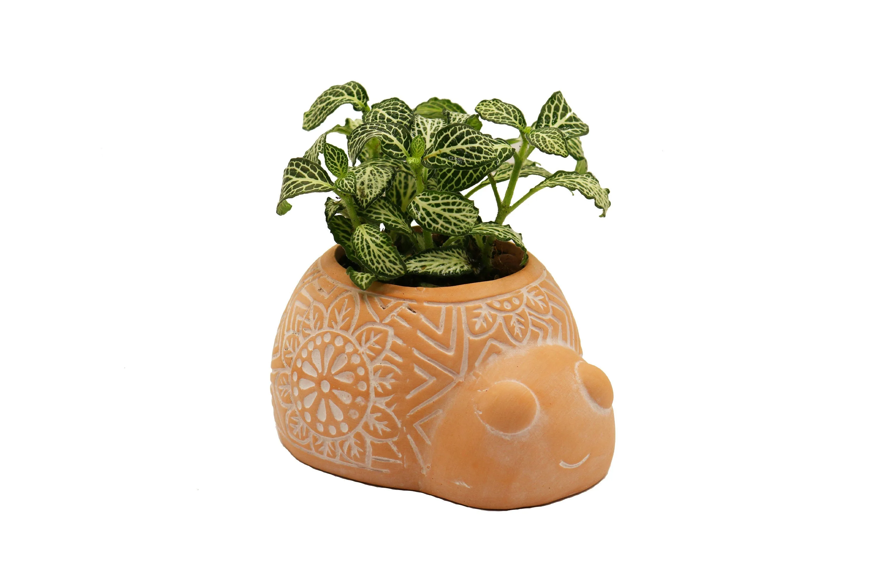 Terracotta Animal Succulent Planter, Turtle Ladybug Pots Home Decor, 2-pack Smaller Planter Set