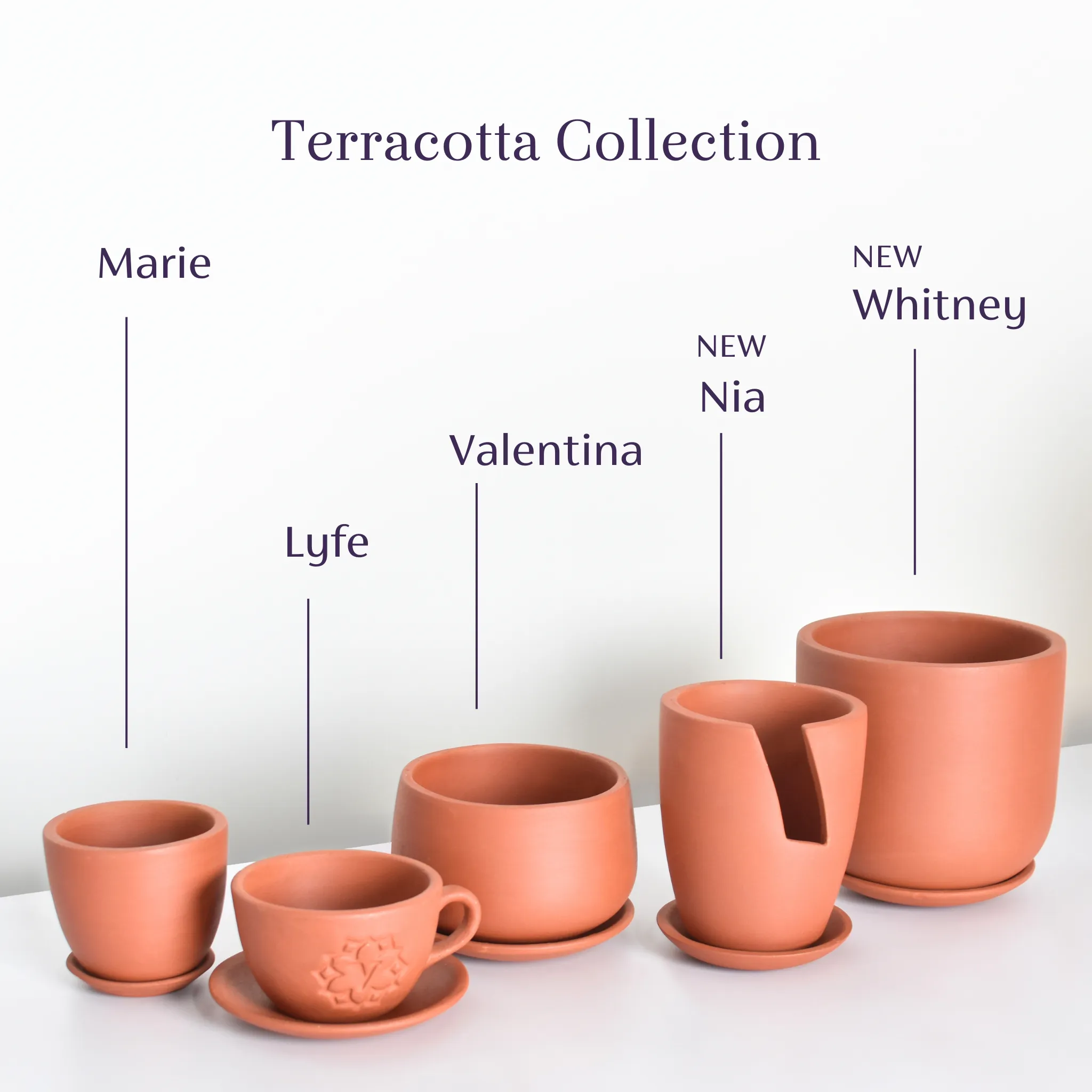 Terracotta Planter Quintuple Bundle