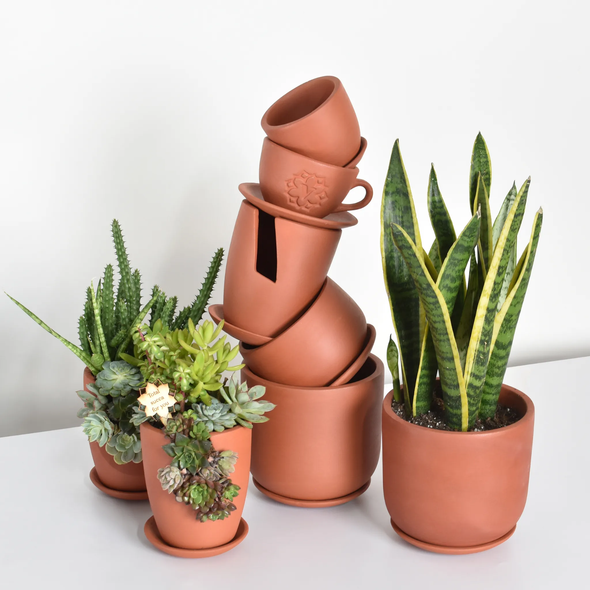 Terracotta Planter Quintuple Bundle