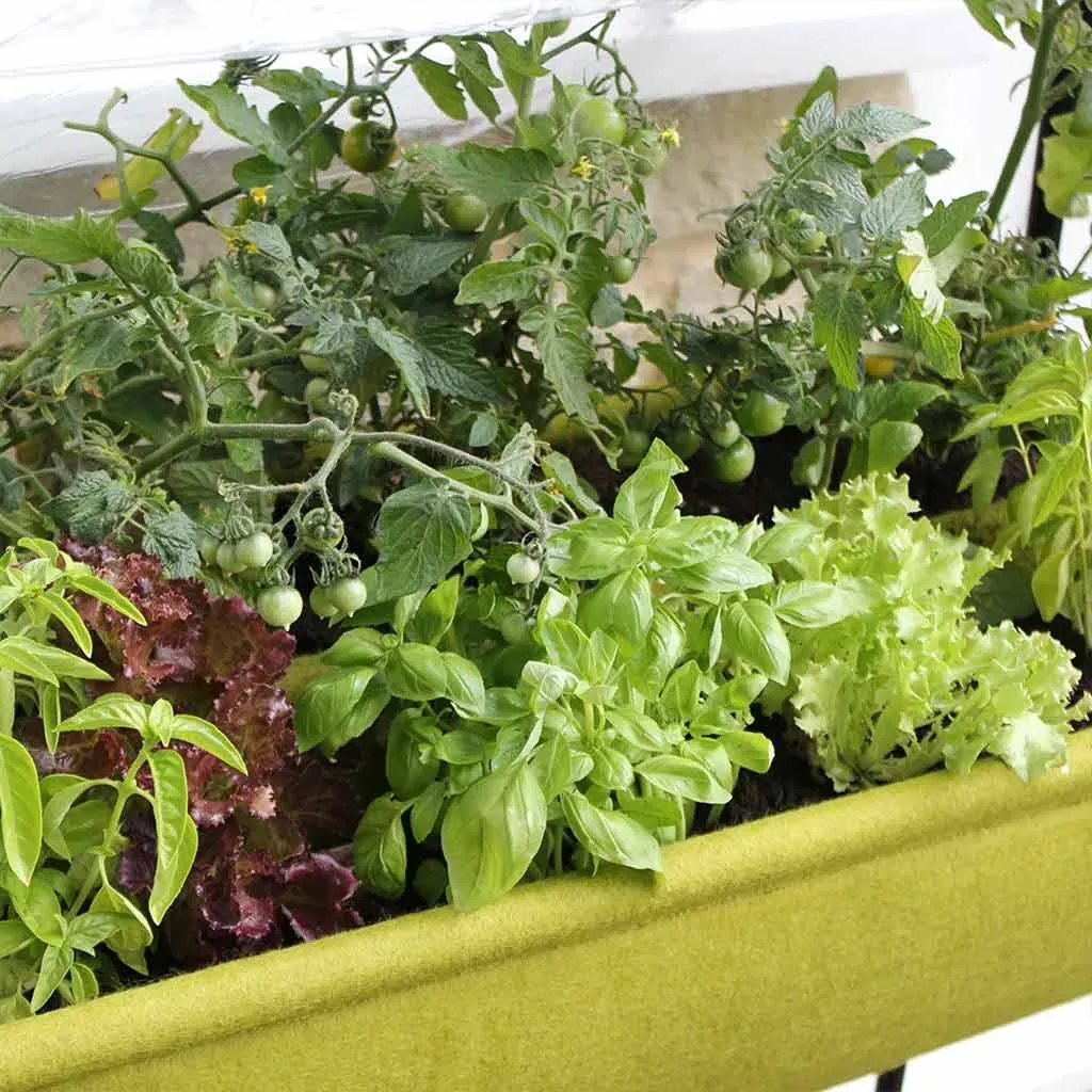 Vigoroot Easy Table Garden