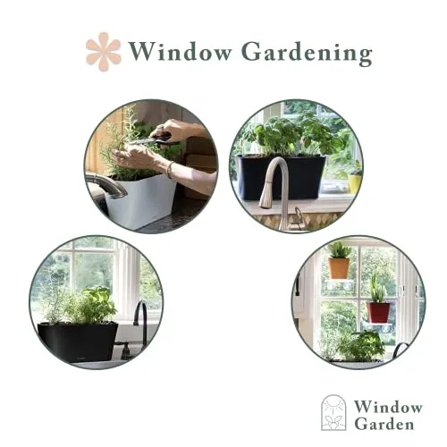 Window Garden Aquaphoric Herb Garden Tub Self Watering Planter Plus Fiber Soil