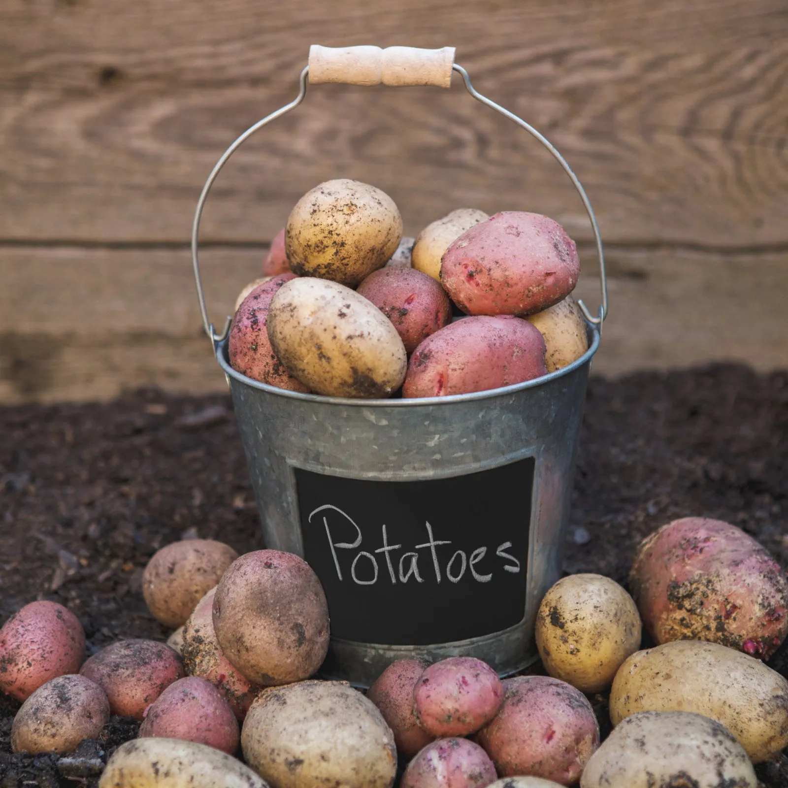 Zinc Bucket With Wooden Holder